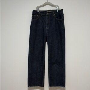 Oliver Logan Aberdeen Wide Leg Crop Shiver Me Timbers | Size 29 | EUC